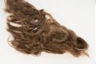 Etikett zu Textil (NHMW-PRAE-114581)